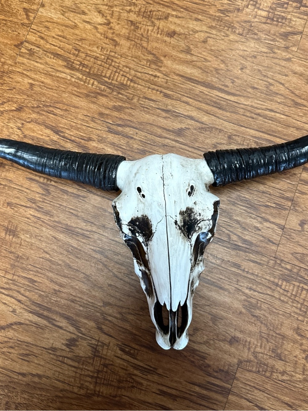Hobby Lobby White and Black Longhorn Skull Wall Accent